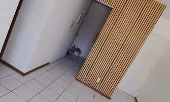 Imagem 4: Repasso apartamento no Planalto