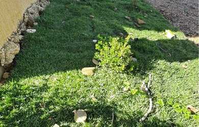 Imagem 2: Chácara 2750m ao lado da cachoeira do éden Aragoiania