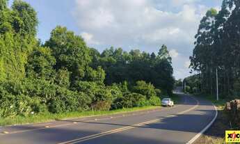 Imagem 5: Sítio / Chácara para Venda em Nova Petrópolis, Canto Ruckert