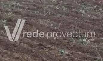 Imagem 6: área - Betel - Paulínia