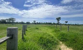 Imagem 3: VENDO FAZENDA 2.400 HAC PANTANAL REGIÃO DE MIMOSO MT