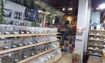 Imagem 6: Loja comercial em Santana 03 salas, 03 banheiros, 01 vaga, 120 m²