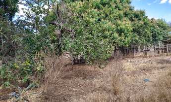 Imagem 7: 11.000 M2 BR 135 Acesso ao Pentáurea