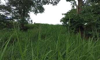 Imagem 3: Área rural 20000m2 em Ouro Verde só R$ 400 mil