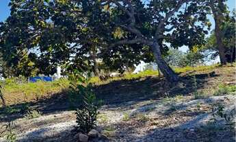 Imagem 4: Chácara 2750m ao lado da cachoeira do éden Aragoiania