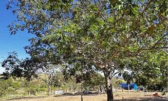 Imagem 7: Chácara 2750m ao lado da cachoeira do éden Aragoiania