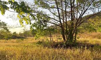 Imagem 5: Lote ideal para quem busca construir uma casa de alto padrão, pousada ou espaço de lazer f