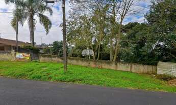 Imagem 2: Vendas Terreno Curitiba PR