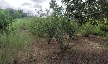 Imagem 2: Terreno plaino polenghi 35 km de Itapetininga, perto da fábrica polenghi