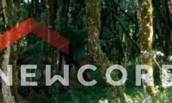 Imagem 2: Lote em condomínio em ERS 466 - Bosque sinoserra - Canela/RS