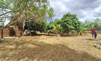 Imagem 4: Terreno em Avenida