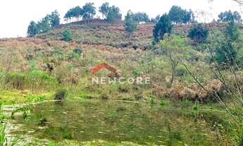 Imagem 3: Lote em Estrada Boa Esperança - Caconde - São Francisco de Paula/RS