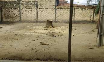 Imagem 3: Casa para alugar