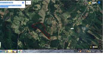 Imagem: Permuto floresta de pinus de 10,5 alqueires