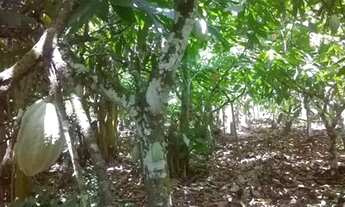 Imagem 3: Sitio em valença-Ba