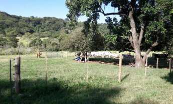 Imagem 5: Sítio para gado regiâo de marilia e Echaporã