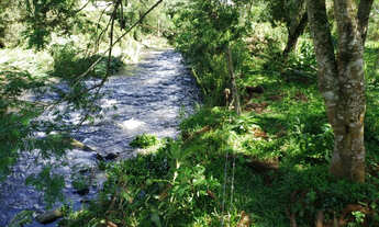 Imagem 3: Belíssimo Sítio entre Rio Rufino e Urubici