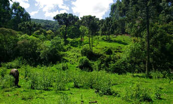 Imagem 7: Belíssimo Sítio entre Rio Rufino e Urubici