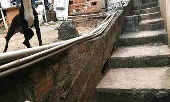 Imagem 4: Vendo um sobrado na Z/ N de são Paulo