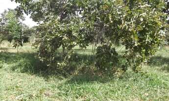 Imagem 2: Linda chácara de 20 mil metros, Jaboticatubas (Temos varias opções)