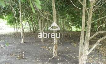 Imagem 2: MACAíBA - Terreno Padrão - Zona de Expanção