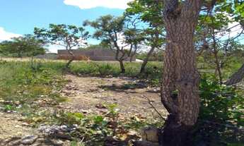 Imagem 5: Linda chácara de 1.000 metros,Baldim (Temos varias opções)