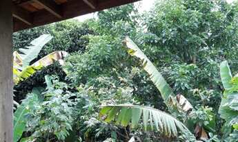 Imagem 5: Chácara para venda com 600 metros quadrados com 3 quartos