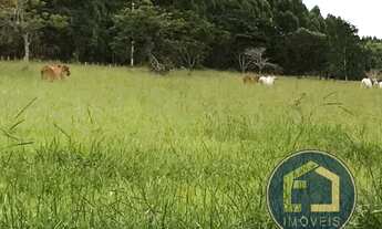 Imagem 7: FAZENDA - SÃO JOÃO DA ALIANÇA