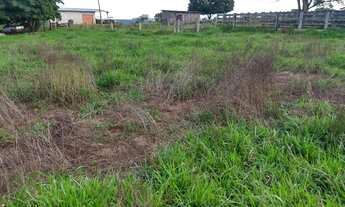 Imagem: Marcelo paredao 001