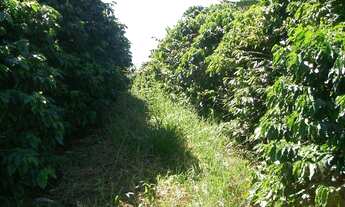 Imagem: Sítio Morungaba/SP/BR (Milo