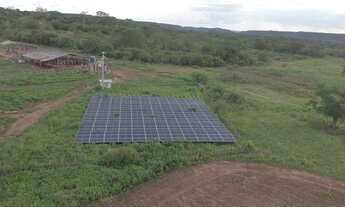 Imagem 4: Oportunidade! linda fazenda a venda de porteira fechada 69 hectares na Pi 113 a 28 km da P