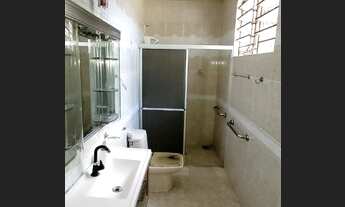 Imagem 2: Raiz. Ao lado da Dismonza