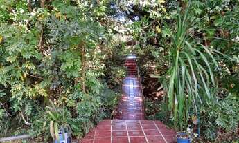 Imagem 5: Fazenda/Sítio/Chácara para venda em São José dos Pinhais PR