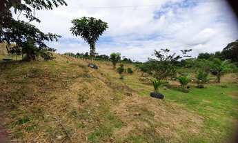 Imagem 2: SÍTIO EM PRESIDENTE FIGUEIREDO - R$ 65.000,00