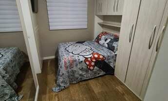 Imagem 5: JABUTICABEIRAS À VENDA