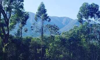 Imagem 6: Ultimo lote a venda no V. Esplendor, 200 m² em Guarda do Cubatão, local tranquilo rodeado