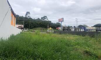 Imagem 6: FLORIANóPOLIS - Terreno Padrão - Vargem pequena