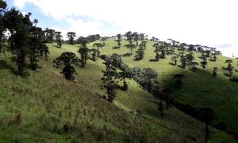 Imagem 3: Fazenda/Sítio/Chácara para venda com 411400 metros quadrados com 2 quartos
