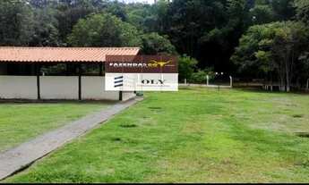 Imagem 7: Oportunidade ! Terra com 6 alqueires no município de Silvania !