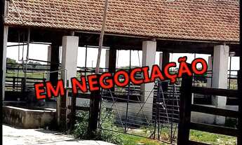 Imagem 3: ÁREA PARA LOTEAMENTO/CASAS POPULARES - CANAS- SP