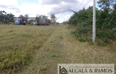 Imagem 3: Sítio para venda possui 250 metros quadrados com 3 quartos