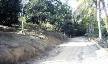 Imagem 2: Sítio Morungaba/SP/BR (Milo