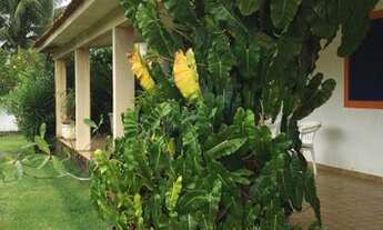 Imagem 7: Venda - Casa de Praia- Barra Mar - Barra de São Miguel - AL