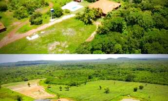 Imagem 2: Oportunidade! linda fazenda a venda de porteira fechada 69 hectares na Pi 113 a 28 km da P