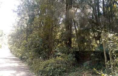 Imagem 7: Área - Travessa da Índio Tibiriça