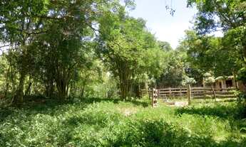 Imagem 5: Fazenda/Sítio/Chácara para venda com 170000 metros quadrados em Lomba Grande - Novo Hambur