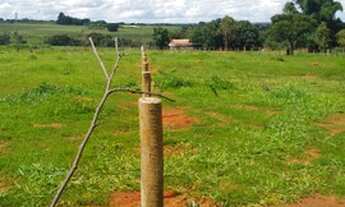 Imagem: Chácara com 2300 m², sem benfeitorias