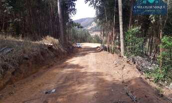 Imagem 6: Área à venda, 10000 m² por R$ 115.000,00 - Pitangueiras do Meio - Pedra Bela/SP