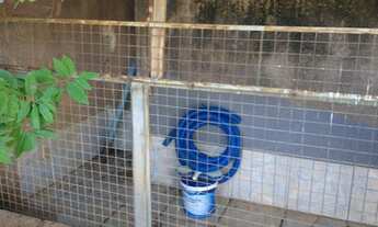 Imagem 3: Casa grande com piscina no Vivendas