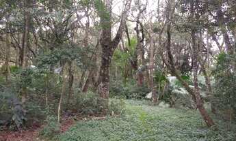 Imagem 2: EXCELENTE LOCALIZAÇÃO